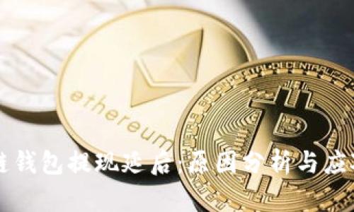 区块链钱包提现延后:原因分析与应对方案