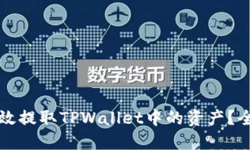 如何高效提取TPWallet中的资产?全面指南