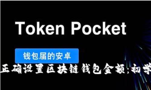 : 如何正确设置区块链钱包金额:初学者指南