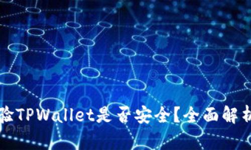 如何快速查验TPWallet是否安全?全面解析与实用指南