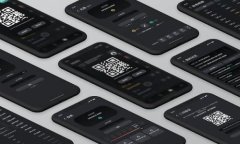 如何使用TP Wallet接收USDT：支持的区块链一览