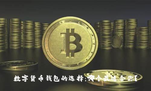 数字货币钱包的选择:哪个最适合你?