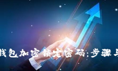 如何设置钱包加密锁定密码:步骤与注意事项