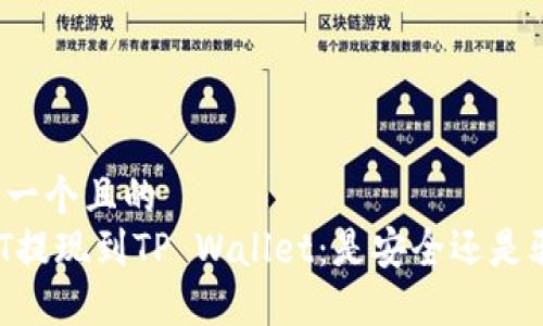 思考一个且的
USDT提现到TP Wallet:是安全还是骗局?