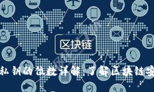 TPWallet私钥的位数详解:了解区块链安全的关键
