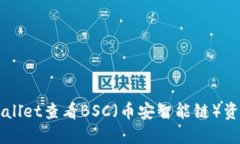 如何通过TPWallet查看BSC（币安智能链）资产和交易