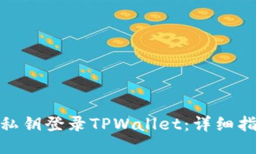 如何使用私钥登录TPWallet:详细指南与步骤