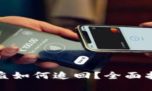 TP数字钱包被盗如何追回?全面指南与实用技巧