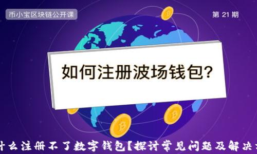 为什么注册不了数字钱包?探讨常见问题及解决方案