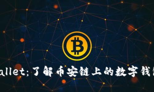 TPWallet:了解币安链上的数字钱包功能