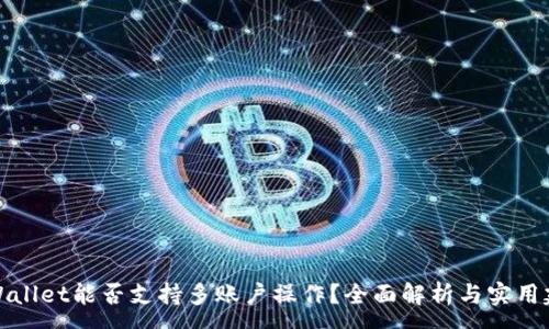 :
TPWallet能否支持多账户操作?全面解析与实用建议