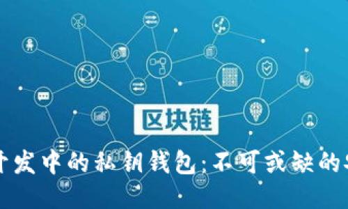 区块链开发中的私钥钱包:不可或缺的安全工具