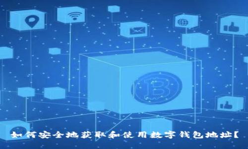 如何安全地获取和使用数字钱包地址?