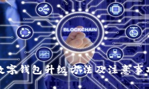 数字钱包升级方法及注意事项