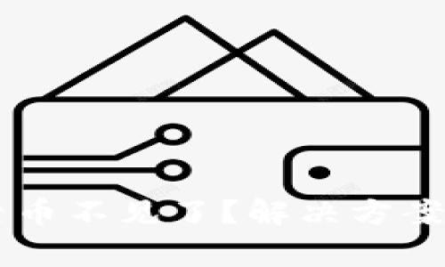 TPWallet登录后币不见了?解决方案与常见问题解析