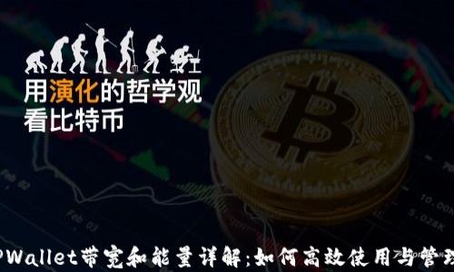 TPWallet带宽和能量详解:如何高效使用与管理?