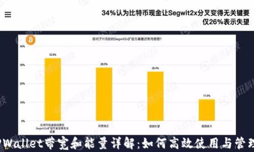 TPWallet带宽和能量详解:如何高效使用与管理?