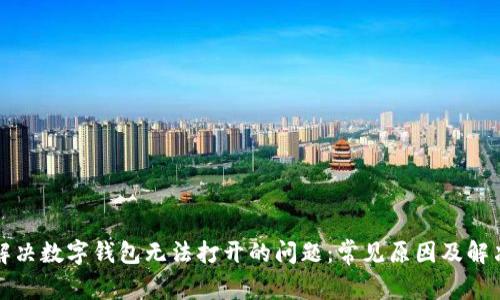 如何解决数字钱包无法打开的问题:常见原因及解决方案
