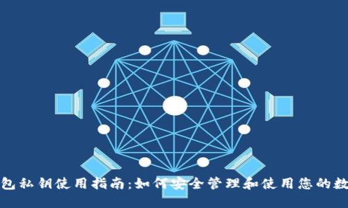 数字钱包私钥使用指南:如何安全管理和使用您的数字资产