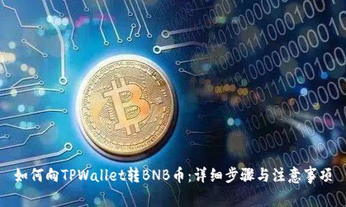 如何向TPWallet转BNB币：详细步骤与注意事项