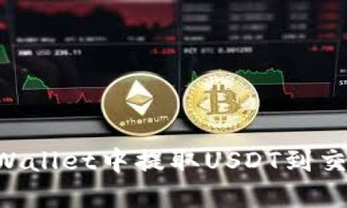 优质如何在TPWallet中提取USDT到交易所:完整指南
