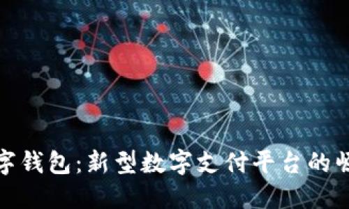 : 四川数字钱包:新型数字支付平台的崛起与未来