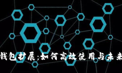 谷歌数字钱包扩展:如何高效使用与未来发展趋势