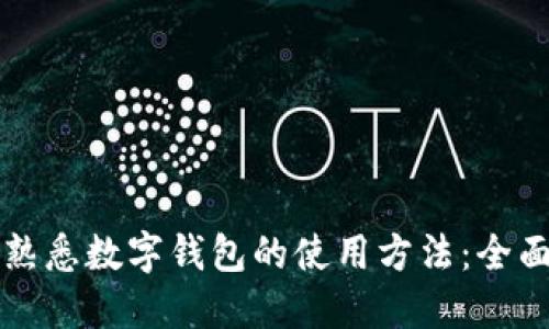 如何熟悉数字钱包的使用方法：全面指南