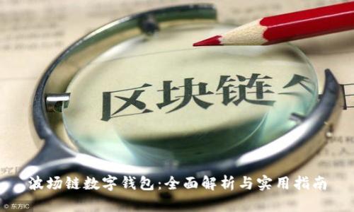 波场链数字钱包：全面解析与实用指南