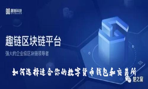 如何选择适合你的数字货币钱包和交易所