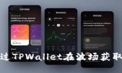 优质如何通过TPWallet在波场获取投票权