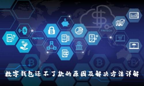 数字钱包还不了款的原因及解决方法详解
