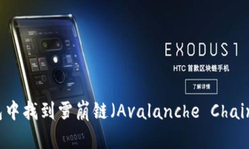 如何在TP钱包中找到雪崩链(Avalanche Chain)的详细指南