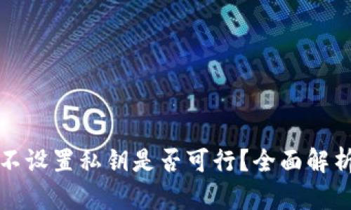 TPWallet: 不设置私钥是否可行？全面解析与实用指南
