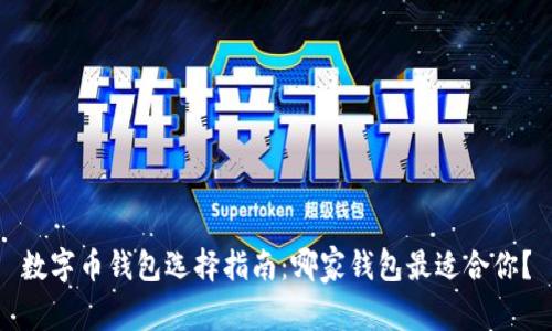 数字币钱包选择指南:哪家钱包最适合你?