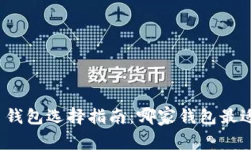 数字币钱包选择指南:哪家钱包最适合你?