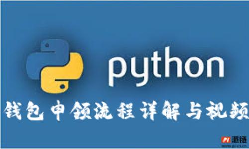 数字钱包申领流程详解与视频指南