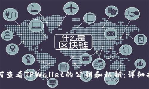 如何查看TPWallet的公钥和私钥:详细指南