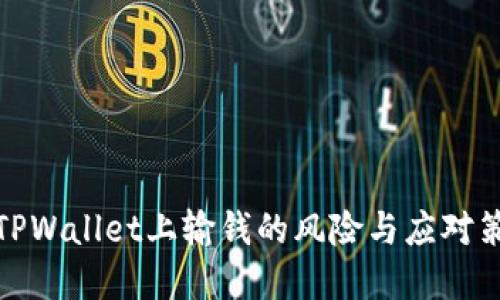 在TPWallet上输钱的风险与应对策略