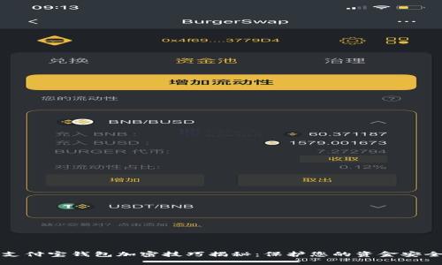 支付宝钱包加密技巧揭秘:保护您的资金安全