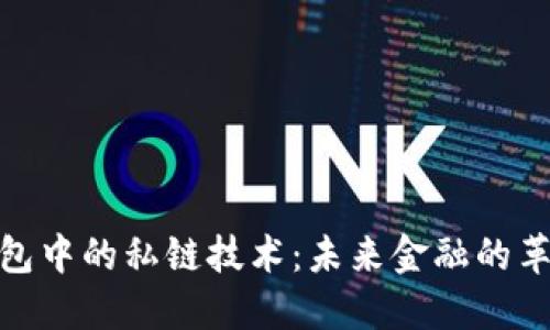 数字钱包中的私链技术：未来金融的革新之路