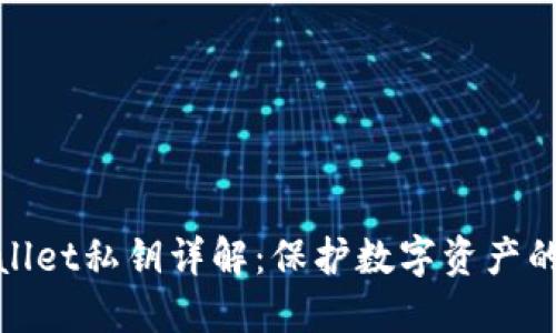 TPWallet私钥详解：保护数字资产的关键