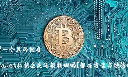 思考一个且的优质
TPWallet私钥丢失还能找回吗?解决方案与预防措施