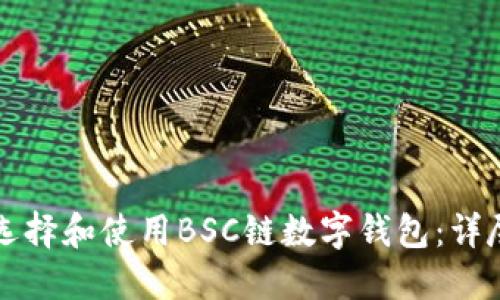 如何选择和使用BSC链数字钱包:详尽指南