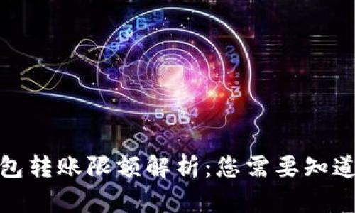 数字钱包转账限额解析：您需要知道的一切