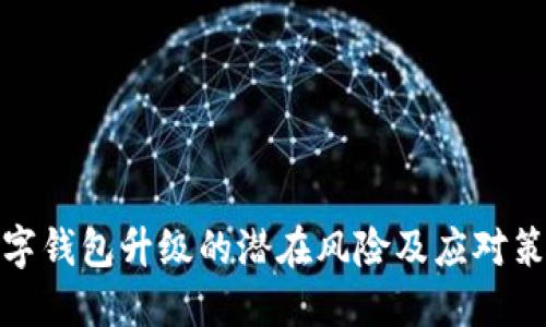 数字钱包升级的潜在风险及应对策略