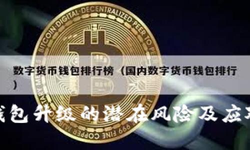 数字钱包升级的潜在风险及应对策略