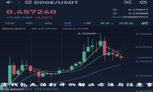 数字钱包无法打开的解决方法与注意事项
