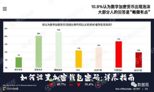 如何设置加密钱包密码：详尽指南