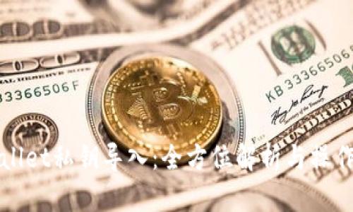 TPWallet私钥导入:全方位解析与操作指南